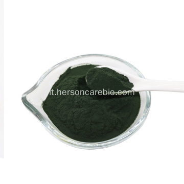 Polvere all&#39;ingrosso biologico di clorella spirulina